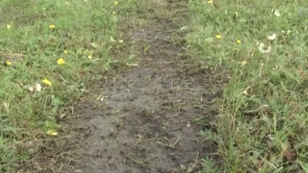 內蒙古呼倫貝爾草原遭越野車碾壓