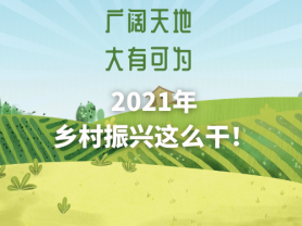 廣闊天地 大有可為 2021年鄉(xiāng)村振興這么干！