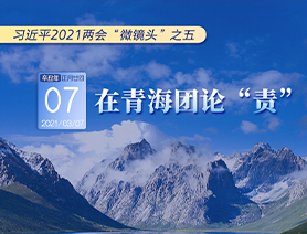 習(xí)近平2021兩會“微鏡頭”之五：3月7日 在青海團(tuán)論“責(zé)”