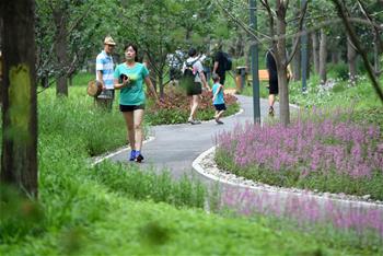 北京東城區(qū)第一處城市森林公園建成開放